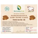 Panchagavya Cow Dung Cake 1