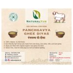 Panchagavya Ghee Diyas 1